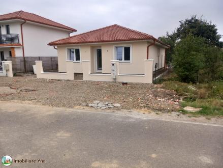 Casa pe un singur nivel, Martinesti