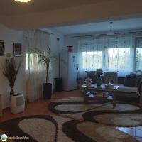 Casa P+M, Viile Satu Mare