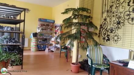 Casa P+M, Zona P-ta Mare